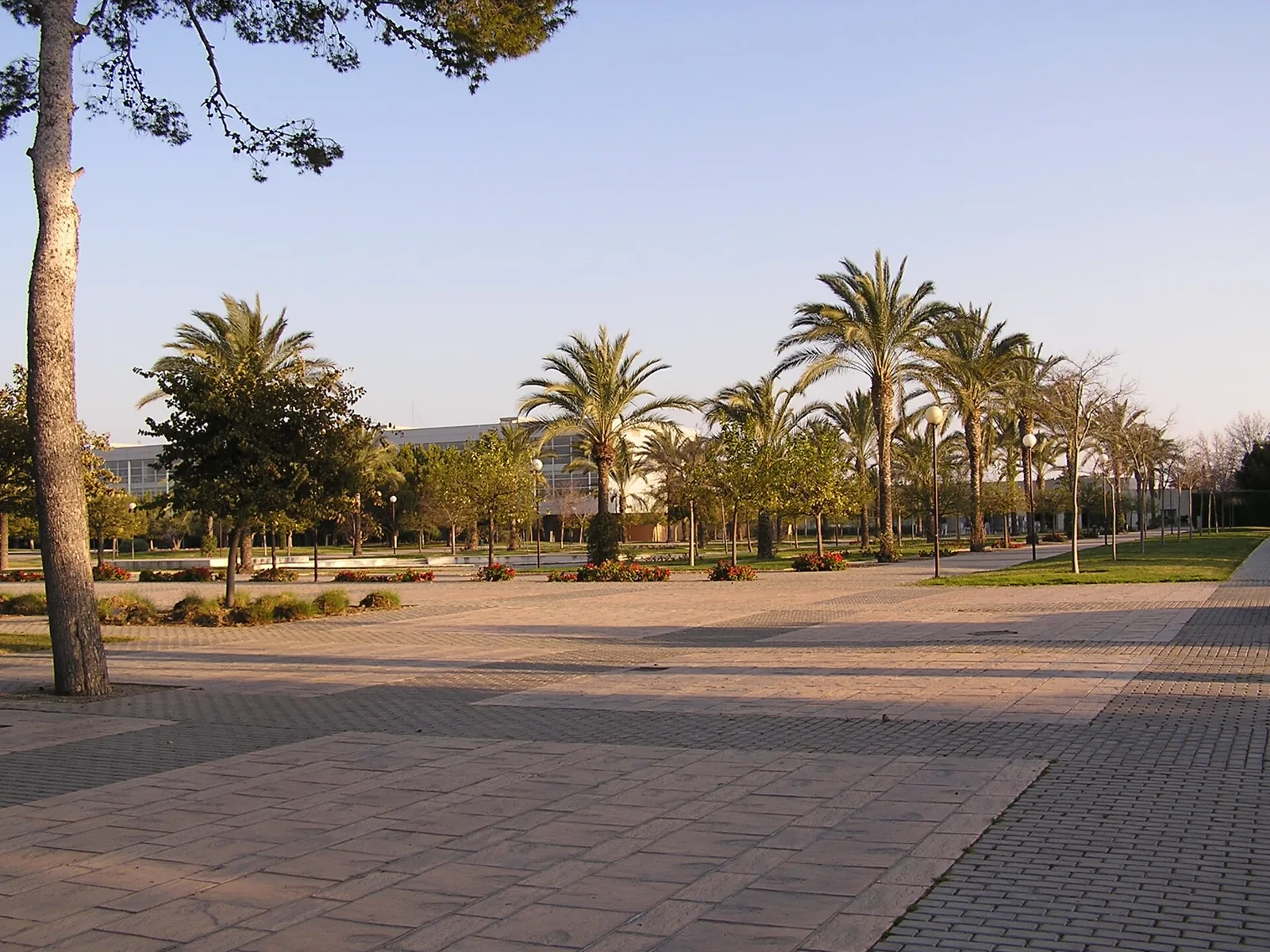 Pasarela del campus de la Universidad de Alicante en San Vicente del Raspeig