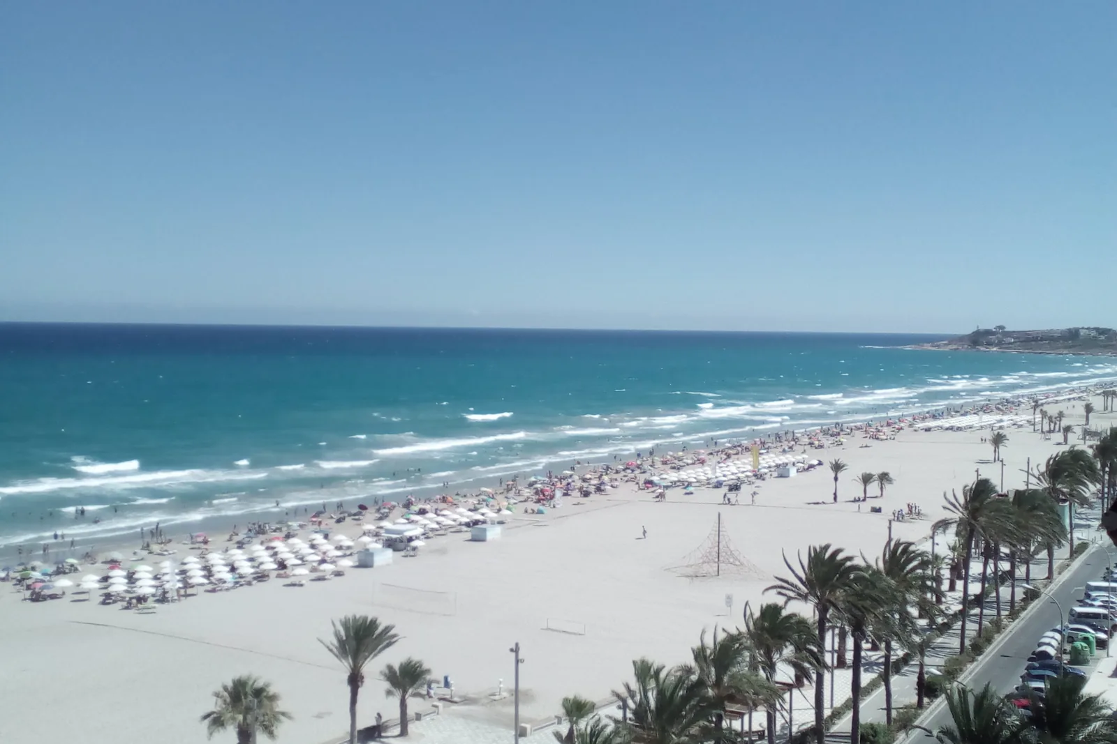 Vista de la Playa de San Juan de Alicante desde arriba, con las palmeras del paseo y la costa hacia el Cabo de las Huertas al fondo